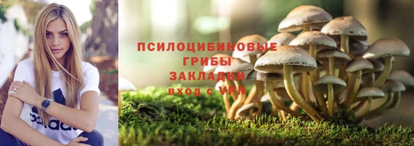 тгк Нея