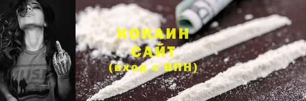тгк Нея