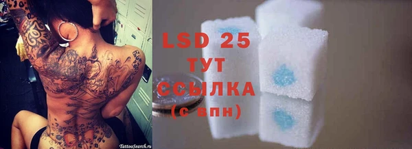 PSILOCYBIN Бердск