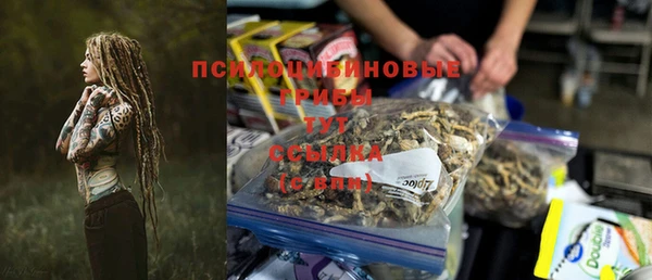 тгк Нея