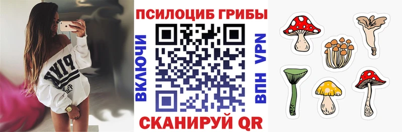 дарнет шоп Одинцово Псилоцибиновые грибы Magic Shrooms