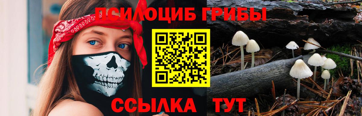 Одинцово  Галлюциногенные грибы MAGIC MUSHROOMS  Галлюциногенные грибы Cubensis  Вход с VPN 