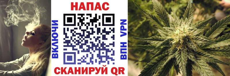 Бошки Шишки AK-47  где продают   Одинцово 